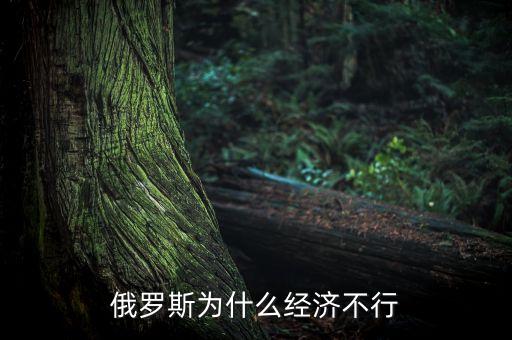 為什么俄羅斯經(jīng)濟(jì)發(fā)展不起來，俄羅斯為什么經(jīng)濟(jì)不行