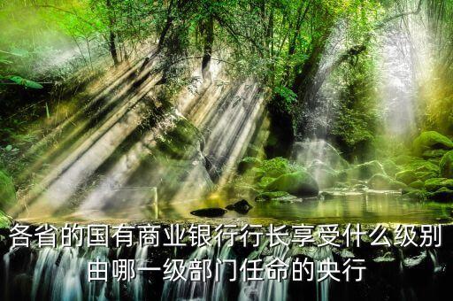 招商銀行行長什么級別，各省的國有商業(yè)銀行行長享受什么級別由哪一級部門任命的央行