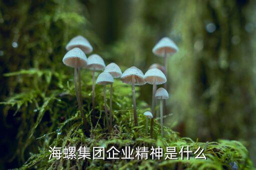 海螺集團企業(yè)精神是什么