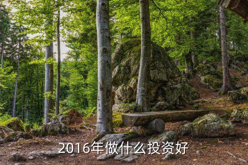 2016年適合做什么投資，2016年適合做什么生意呢