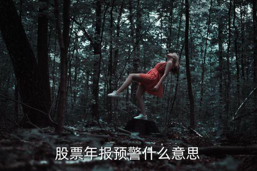 股票出年報(bào)什么意思，股票年報(bào)預(yù)警什么意思