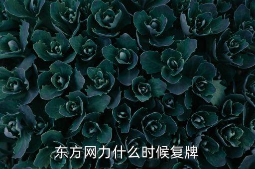 東方網(wǎng)力什么時(shí)候復(fù)牌，000511最新消息什么時(shí)間復(fù)牌