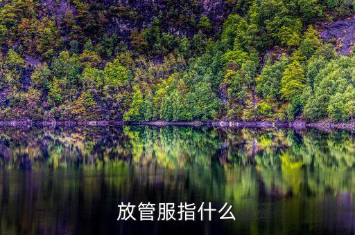 什么是減政放權(quán)，運(yùn)用政治生活知識 談?wù)務(wù)疄槭裁匆喺艡?quán)