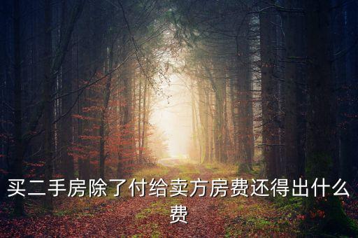 買(mǎi)二手房除了付給賣(mài)方房費(fèi)還得出什么費(fèi)