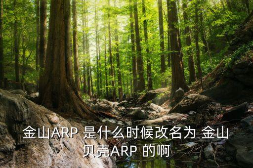 金山ARP 是什么時候改名為 金山貝殼ARP 的啊