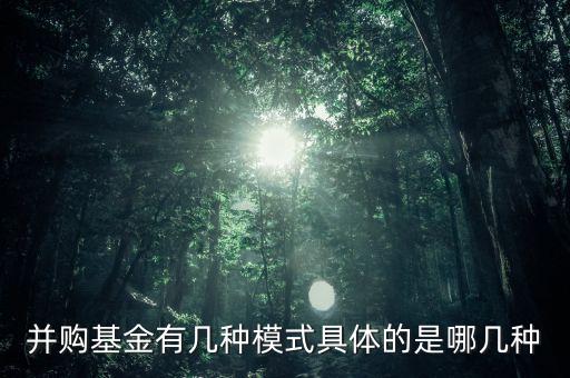 并購(gòu)基金有幾種模式具體的是哪幾種