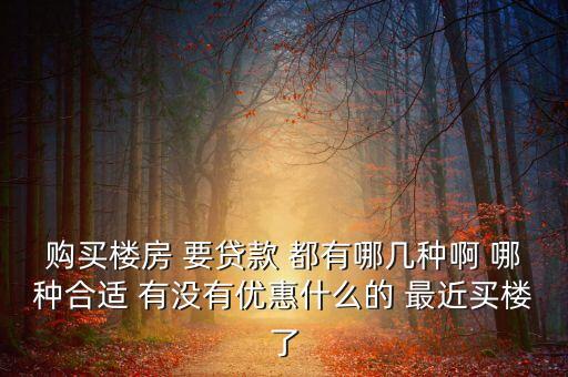 購買樓房 要貸款 都有哪幾種啊 哪種合適 有沒有優(yōu)惠什么的 最近買樓了