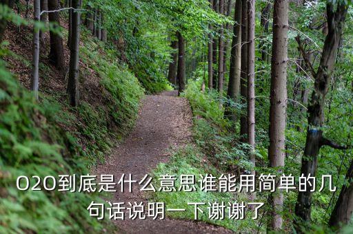 o2o交易閉環(huán)是什么意思，O2O到底是什么意思誰能用簡單的幾句話說明一下謝謝了