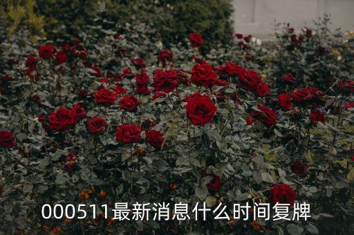 000511最新消息什么時(shí)間復(fù)牌