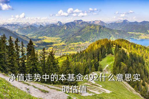 凈值走勢中的本基金492什么意思實(shí)時估值