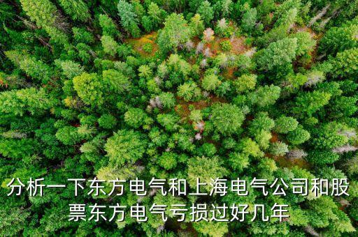 東方電氣為什么不漲，東方電氣這么好的公司為什么總是漲不上去漲不過(guò)別人呢