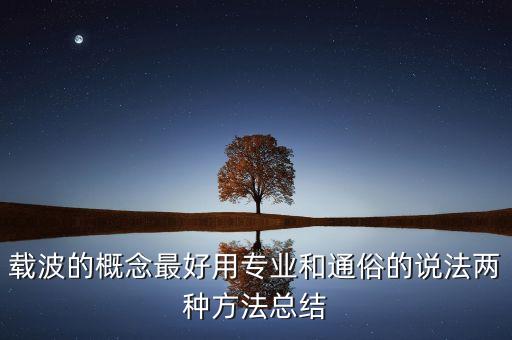 載波的概念最好用專業(yè)和通俗的說法兩種方法總結(jié)