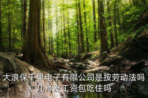保千里是什么公司，深圳市保千里電子有限公司的公司簡介