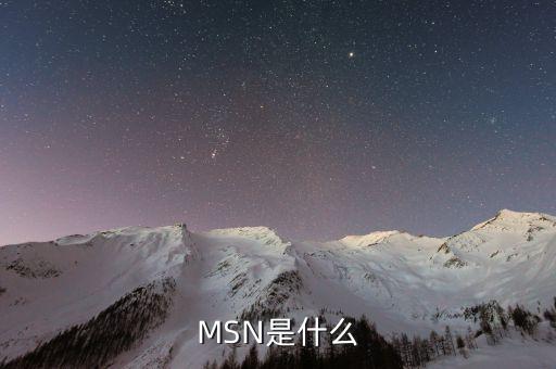 msn什么時候進入中國，MSN是什么