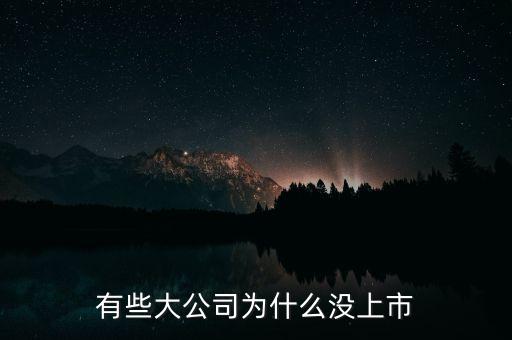 公司為什么不上市，為什么有些大公司選擇不上市