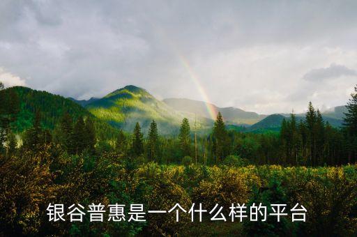 銀谷普惠是一個什么樣的平臺