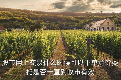 股票電腦交易什么時候有的，老股民股市什么時候開始電腦交易的