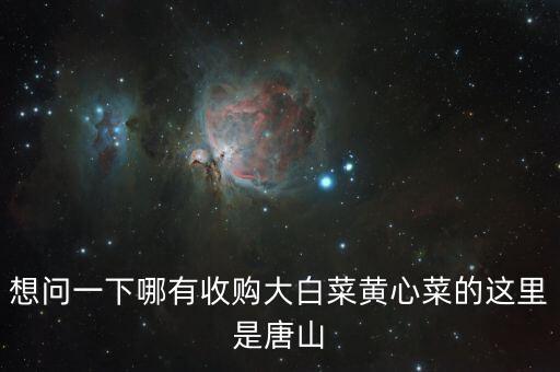 什么地方收購白菜，想問一下哪有收購大白菜黃心菜的這里是唐山