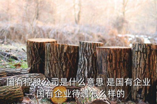 政府控股公司是什么，國有控股公司是什么意思 是國有企業(yè)  國有企業(yè)待遇怎么樣的