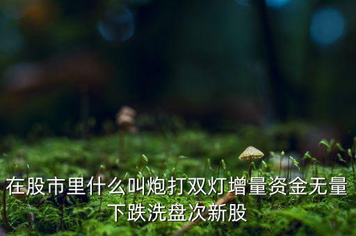 在股市里什么叫炮打雙燈增量資金無(wú)量下跌洗盤次新股