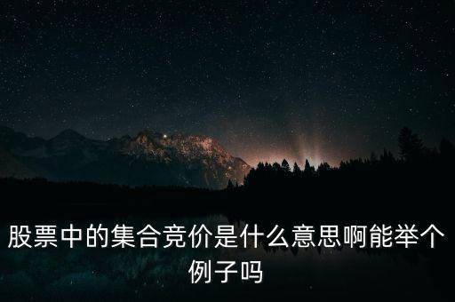 股票中的集合競價是什么意思啊能舉個例子嗎