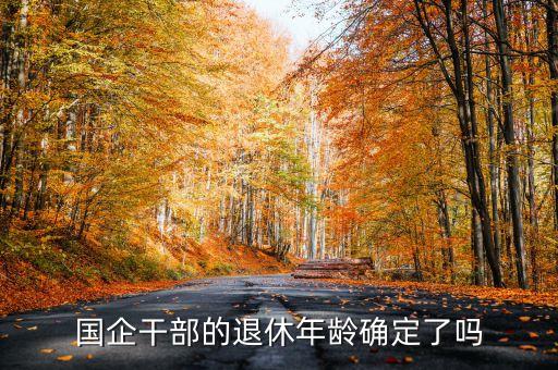 央企主要領(lǐng)導(dǎo)什么年齡退休，國企干部的退休年齡確定了嗎