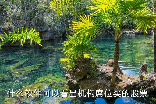 什么軟件可以看到股票是由什么機構(gòu)買進，用什么軟件可以看到買入股票的 機構(gòu)名稱