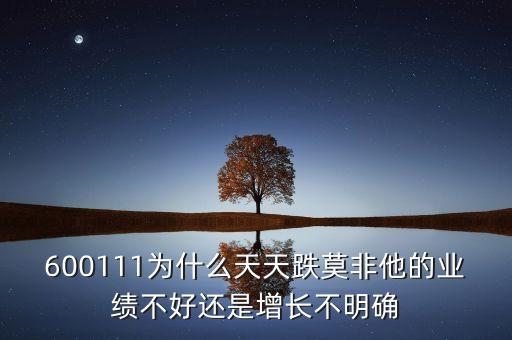 為什么海峽股份天天跌，600111為什么天天跌莫非他的業(yè)績不好還是增長不明確