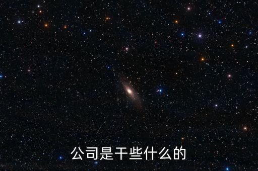 做什么的公司，公司是干些什么的