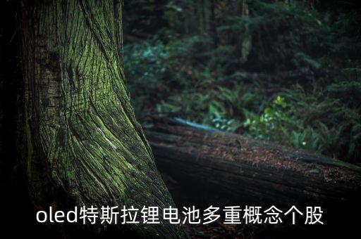 oled特斯拉鋰電池多重概念個股