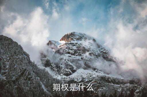 授予期權(quán)是什么意思，無償授予股票期權(quán)是什么意思