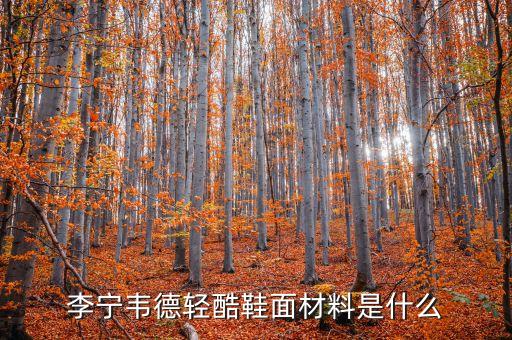 主角鋁材什么價格，沉默是金 議論文 求材料