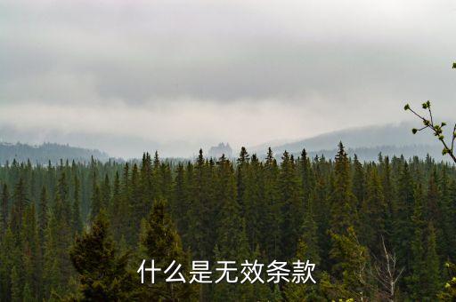 什么是無(wú)效條款