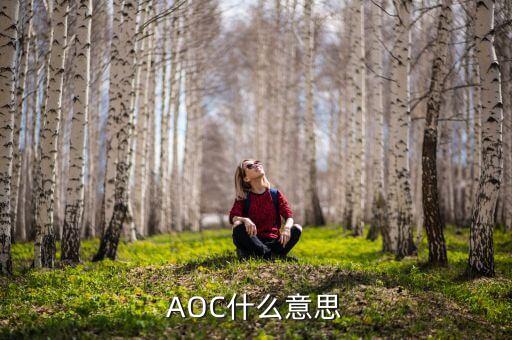 東航AOC是什么，AOC 是什么意思