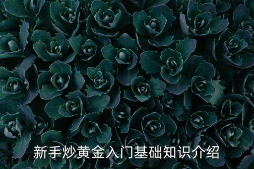 炒貴金屬初學者需要知道什么，新手炒黃金入門基礎知識介紹