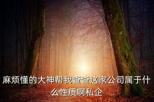 差旅天下企業(yè)是什么性質(zhì)，有沒有人知道差旅管理公司具體是做什么的