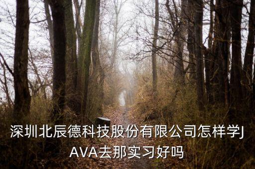 深圳北辰德科技股份有限公司怎樣學(xué)JAVA去那實(shí)習(xí)好嗎