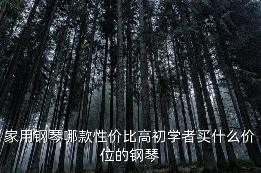 家用鋼琴哪款性價比高初學(xué)者買什么價位的鋼琴