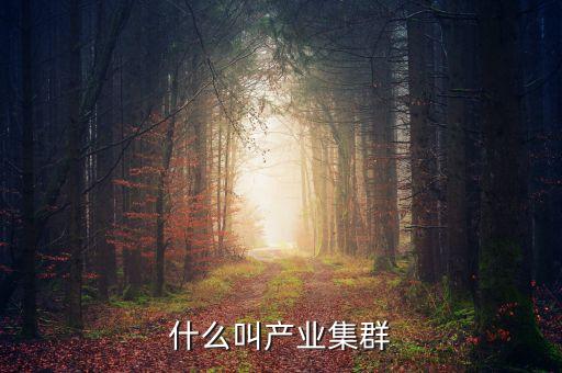 什么是文化產(chǎn)業(yè)集群，什么叫產(chǎn)業(yè)集群化