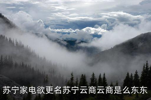蘇寧電器什么時(shí)候改名為蘇寧云商，蘇寧電器什么時(shí)候改名蘇寧云商的