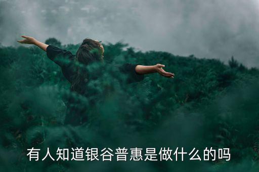 銀谷普誠(chéng)是干什么的，銀谷普惠是什么公司在那上班好不好