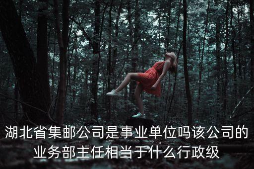 湖北省集郵公司是事業(yè)單位嗎該公司的業(yè)務(wù)部主任相當于什么行政級