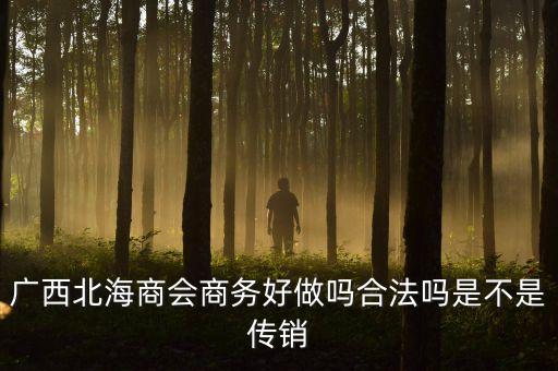 鼎固房地產(chǎn)公司汪平清是做什么的，廣西北海商會商務(wù)好做嗎合法嗎是不是傳銷
