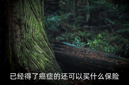 癌癥病人能買(mǎi)什么險(xiǎn)，癌癥患者能參加什么保險(xiǎn)