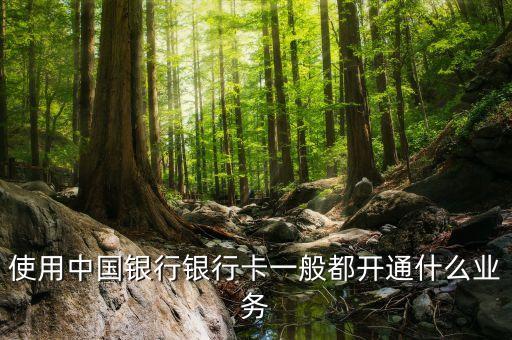使用中國銀行銀行卡一般都開通什么業(yè)務(wù)