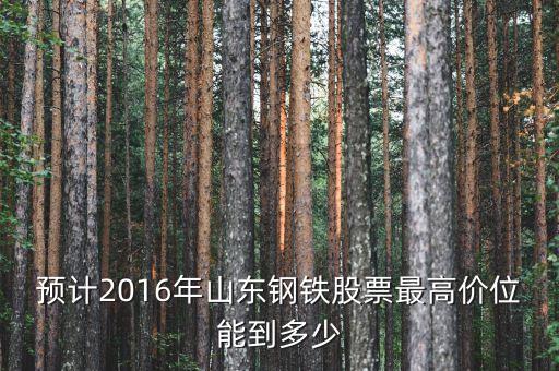 山東鋼鐵股票歷史最高什么價(jià)錢，預(yù)計(jì)2016年山東鋼鐵股票最高價(jià)位能到多少