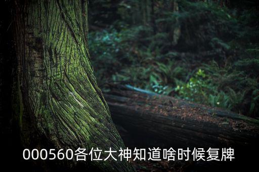 渤?；钊裁磿r(shí)候復(fù)牌，000004號(hào)股停牌了什么時(shí)候復(fù)牌復(fù)牌后會(huì)漲嗎