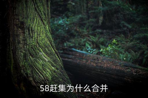 行業(yè)巨頭為什么要合并，58趕集為什么合并