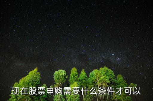 現(xiàn)在股票申購需要什么條件才可以