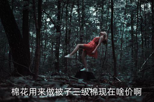 棉花用來做被子三級棉現(xiàn)在啥價啊